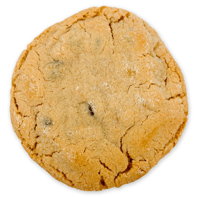 Peanut Butter Chocolate Chip Cookie